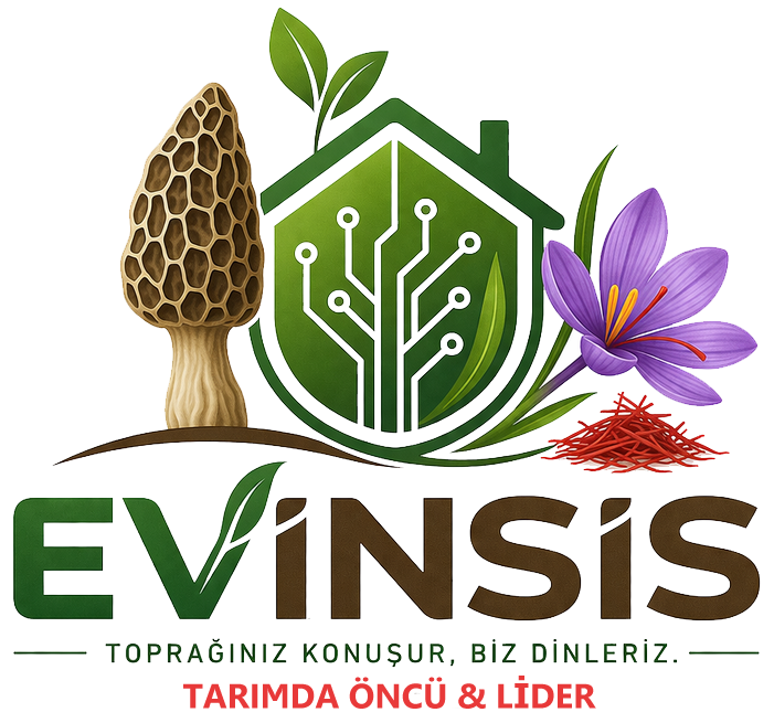 EVİNSİS logo